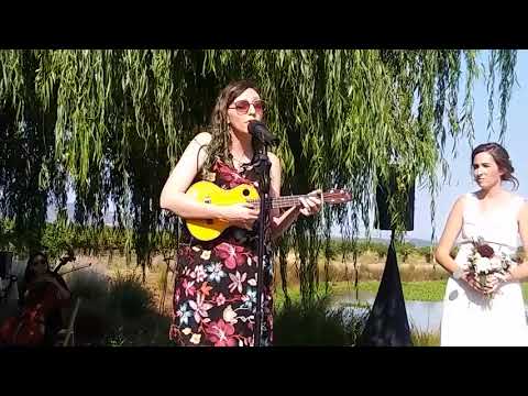 Talking Heads - This Must Be The Place (Naïve Melody) - (Jessica Gerhardt live acoustic cover)