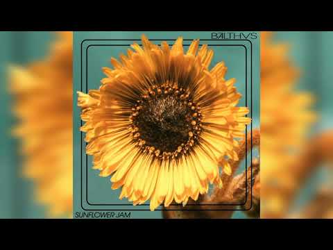 BALTHVS - Sunflower Jam (Visualizer)