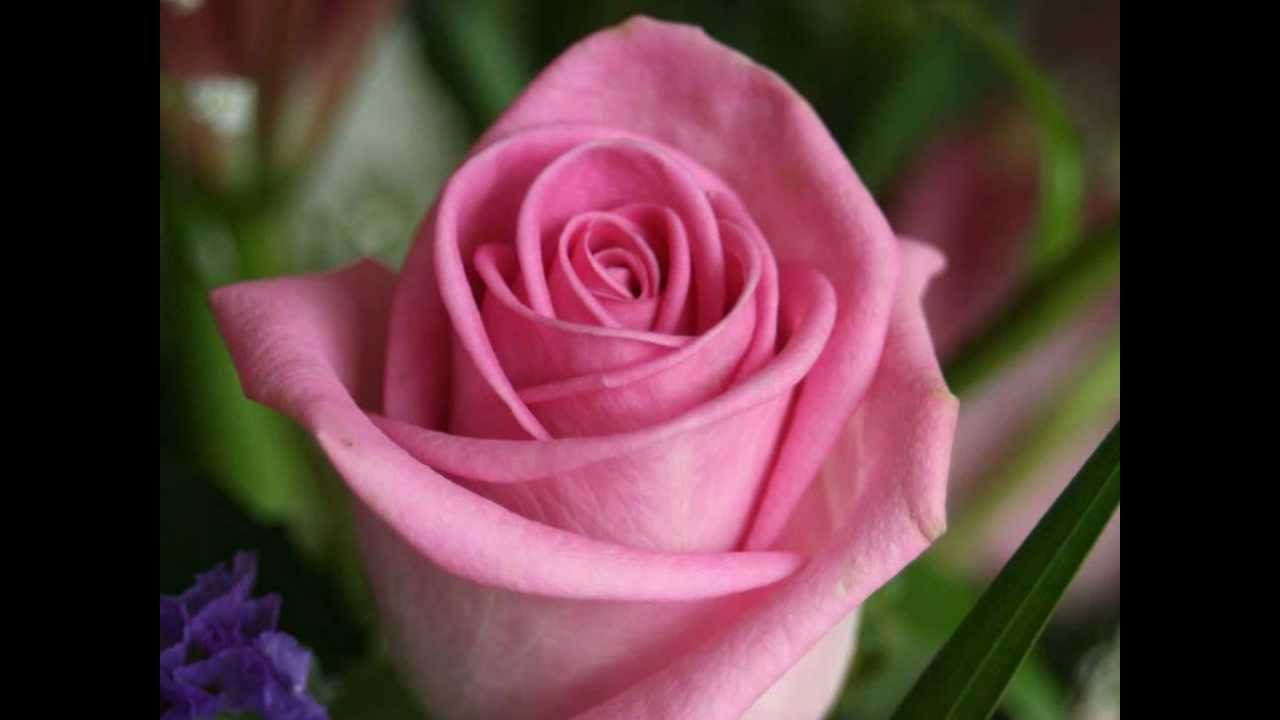 Dhire Dhire Lyrics | Jaadu | Kumar Sanu, Alka Yagnik | Nadeem Shravan