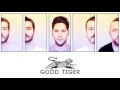 Good Tiger - A Head Full of Moonlight (Full Album ...