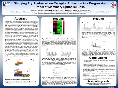 Studying Aryl Hydrocarbon Receptor Activation in a Progression Panel of Mammary Epithelial Cells