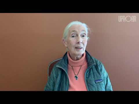 Jane Goodall: 5 Reasons for Hope