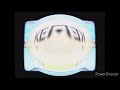 Fixed PBS Logos Mirrored And Reversed E