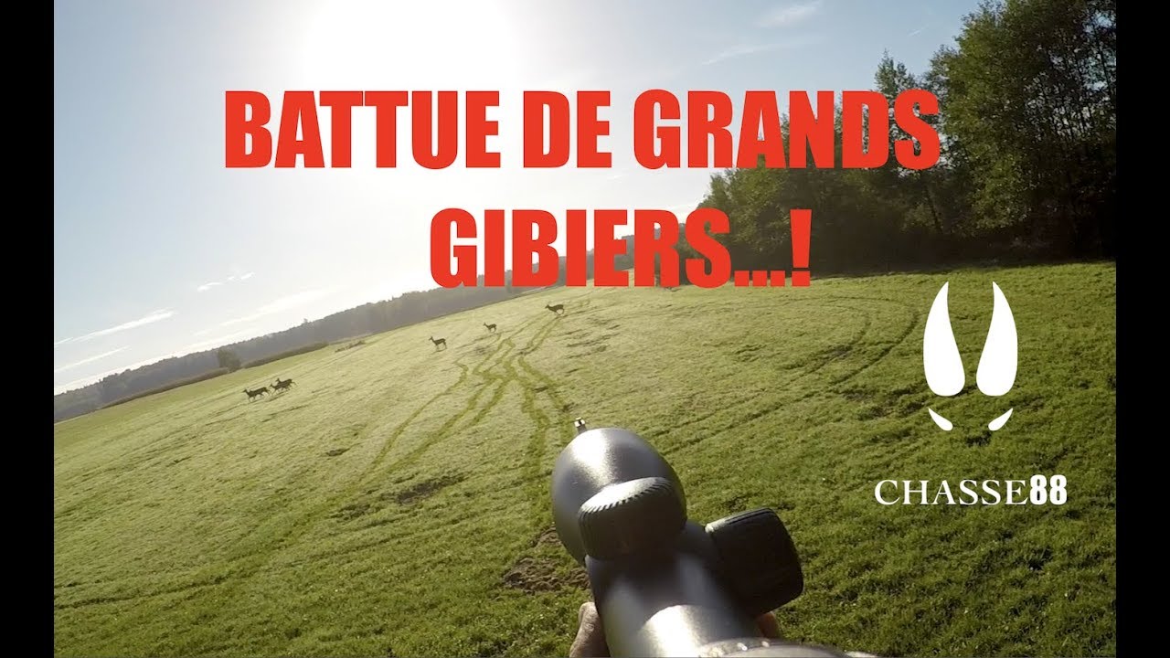 Chasse en Battue Cervidés Sangliers Saison 2017/2018 Blaser R8