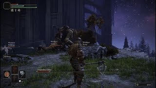 Seamless Coop in elden ring