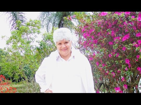 A Bíblia Simplificada - Março 27 - Josué 19 - יהושע