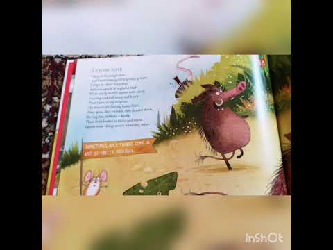 Read along book ' Wild Symphony' by Dan Brown- #1New York Times bestselling author