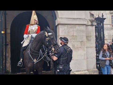 verbal abuse to the guard horse bites police man #thekingsguard