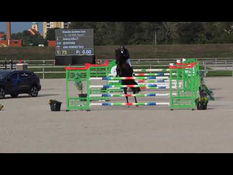 08 09 2019 Samorin National Competition 1 50m   Andrej Holly & QUINTANA   1st place