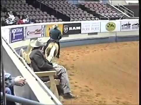 Shawn Flarida-Shine Chic Shine