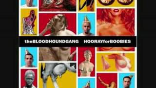 The Bloodhound Gang - Three Point One Four * incl. Lyrics (3.14)