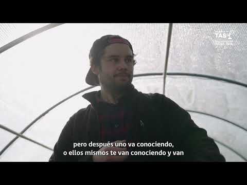 Testimonio programa TAS en Región Metropolitana: Jaime Vera, María Pinto