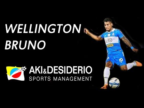 Wellington Bruno • Season 16/17 • AKI&DESIDERIO