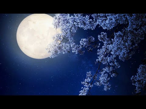 Tomar Asar Patha - Prabhat Sangeet song #1192