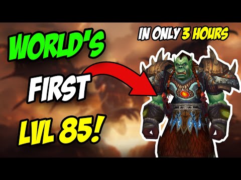 The INSANE Lengths To Get WORLD'S FIRST 85! Even After Blizzard Nerfed Him...