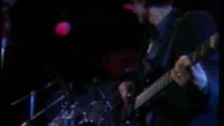 Golden Palominos - Kinda True