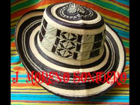 amaneci bebiendo alfredo gtz.wmv