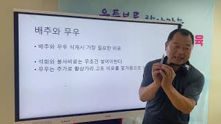 배추 무 재배 귀농귀촌교육