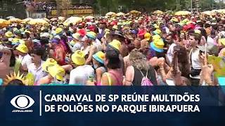Download lagu Carnaval em SP reúne multidão no Parque Ibirapuera mp3