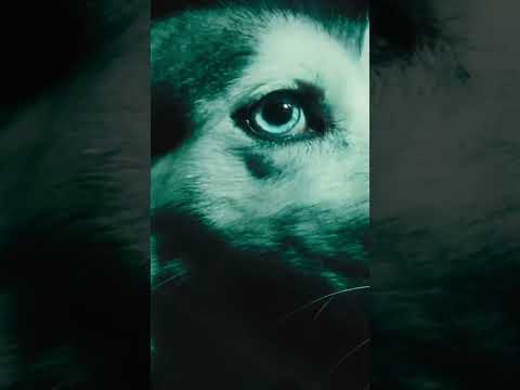 Hanya lwe9te ft @AbduhE disponible le 22 Juin ✨ #ouenza #rap #hiphop #music