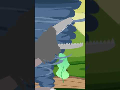 SCP-682 VS SCP-166 (SCP Animation)