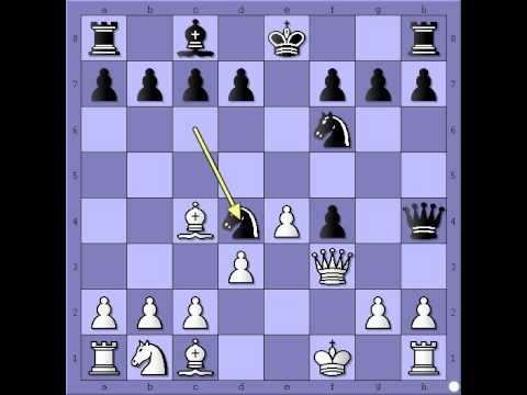 Koliko je jak Skakacki par - PRECKLEY vs MONGREDIEN Kraljev gambit # 392
