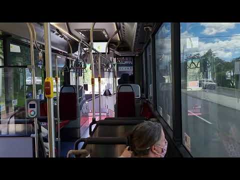 Forest Coach Lines (CDC Group) m/o 8065 - Volvo B8RLE Euro 6.