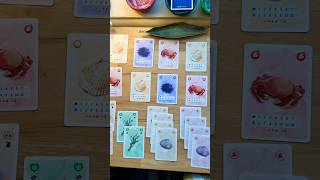 You Otter Check This Card Game Out! 🦦🌊🦀🐚🌿 #boardgames #cardgames #tabletopgames