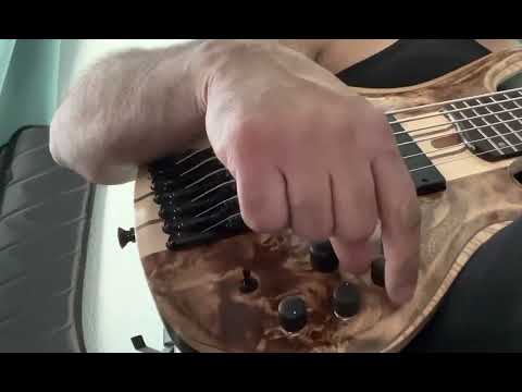 Bartolini 5.4 installed