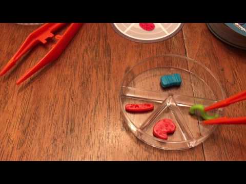 Dr. Microbe - How Lou Sees It Review