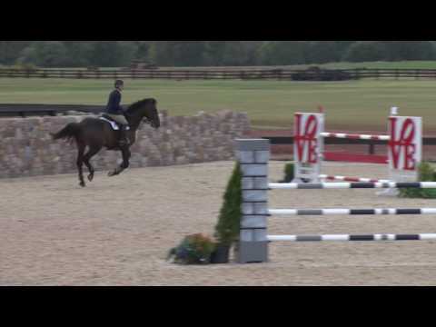 Diamaro VDL Ridden by Amanda Flint | 1.30M Jumpers