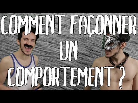 Phil's Coup #16 - Skinner's Box