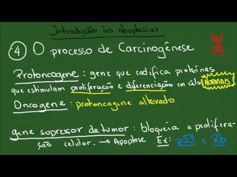 Introdução às Neoplasias - Resumo - Patologia Geral