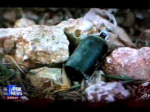 Real Housewives of Bin Laden