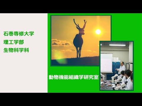 【研究室紹介 EX】生物科学科『動物機能組織学研究室』