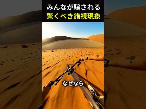 みんなが騙される 驚くべき錯視現象