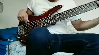 La llamada- Carlos vives (bass)