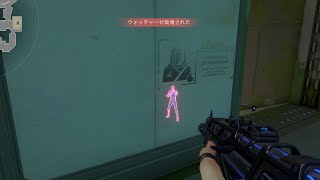 【valorant】最適解のフェード