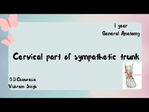Cervical Part of Sympathetic Trunk  | Concised | Exam notes