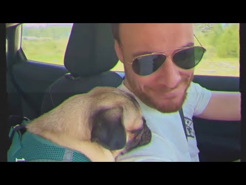 Devrim's dog Rifki in love with Kerem Bürsin 😄❤️