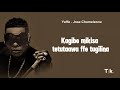 Yeffe Dr Jose chameleon 