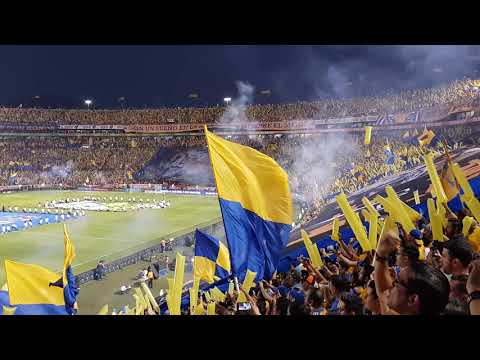 "Tigres vss Leon Increible recibimiento Libres y Lokos Gran Final 2019" Barra: Libres y Lokos &bull; Club: Tigres