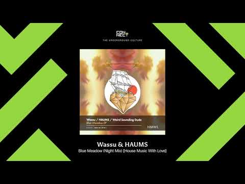 PREMIERE: Wassu & HAUMS - Blue Meadow (Night Mix) [House Music With Love]
