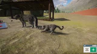 Planet Zoo ユキヒョウの子供を眺める動画