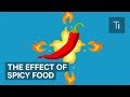 How Eating Spicy Food Affects Your Brain And Body The Human Body