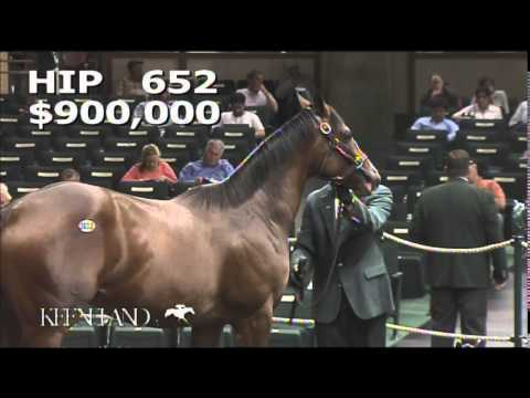2014 September Yearling Sale - Hip 652 (Tapit - Foxy Danseur)