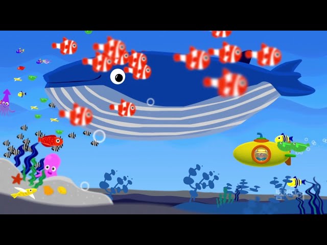 히즈쇼뮤직비디오