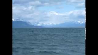 Paraphrase d&#39;Alien Afternoon de Genesis