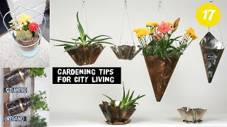 17 Clever City Gardening ideas