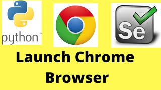 How to launch Chrome browser in Selenium Webdriver Python